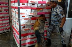 "Astara" gömrük postunda külli miqdarda narkotik vasitə aşkar edilib (FOTO/VİDEO)