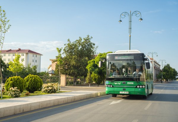 Naxçıvanda ictimai nəqliyyat yenilənib, 72 elektrikli avtobus istifadəyə verilib (FOTO)
