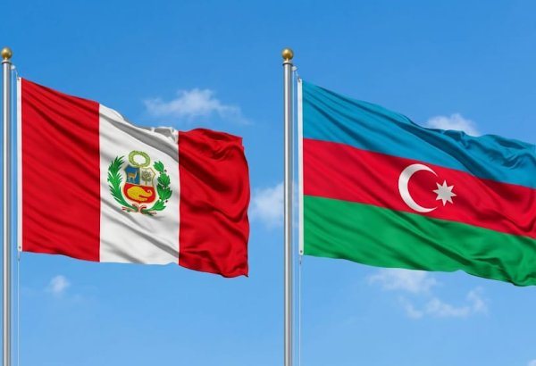 Peru Azərbaycanla əməkdaşlığın genişləndirilməsi üçün perspektivlər görür (FOTO)