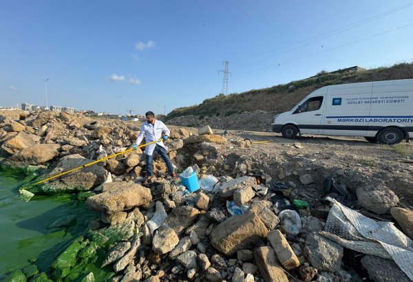 Böyükşor gölünün müəyyən hissəsinin yaşıl rəngə boyanmasının səbəbi araşdırılır (FOTO)