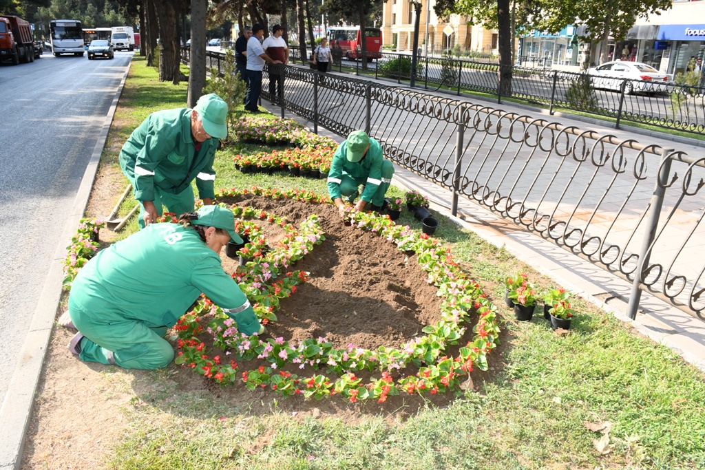 Bakıda genişmiqyaslı iməclik keçirilib (FOTO)
