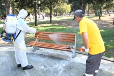 Bakıda genişmiqyaslı iməclik keçirilib (FOTO)