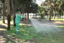 Bakıda genişmiqyaslı iməclik keçirilib (FOTO)