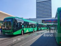 Metroda xətlərin ayrılması başladı: “28 May”da vəziyyət necədir? (FOTO/VİDEO)