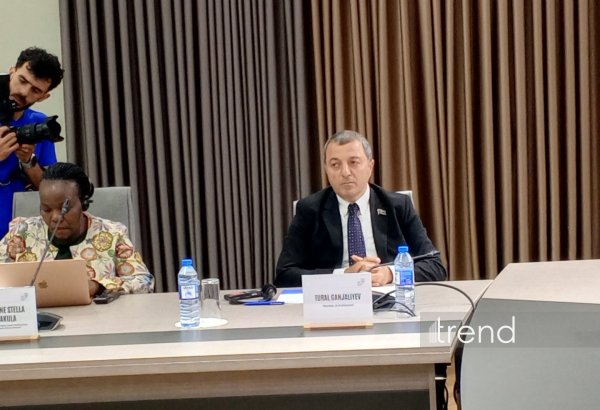 Belçikanın müstəmləkə tarixinin tanınması ədalətli gələcək üçün zəruridir – Tural Gəncəliyev