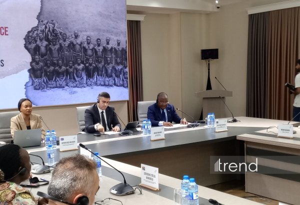 Konqo Milli Komissiyasının rəhbəri tarixi materialların mənşə ölkələrinə qaytarılmasına çağırıb