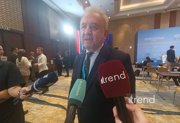 Seçkilərdə seçici fəallığı kifayət qədər yüksəkdir – Türkiyə səfiri