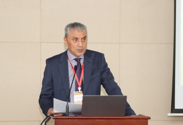 Qırğızıstan yeni logistika zəncirlərinin inkişafı üçün coğrafi mövqeyindən istifadə etməyə çalışır – ekspert (ÖZƏL)