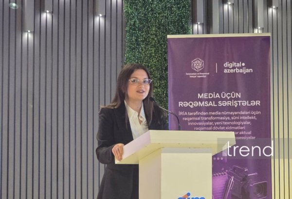 Azərbaycanda vençur fondları üçün yeni investisiya alətləri yaradılır - Türkan Hacıyeva