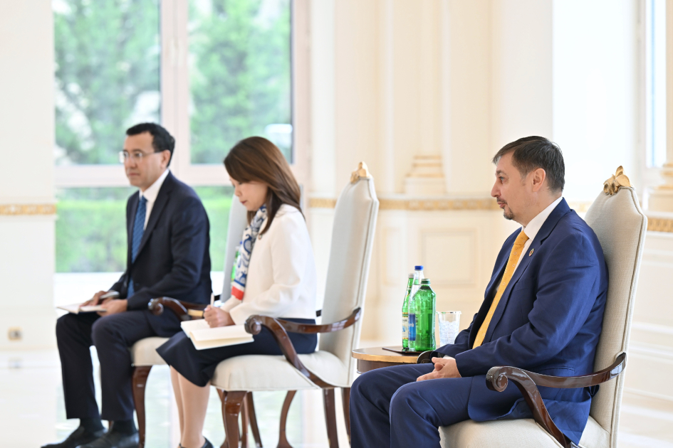 Prezident İlham Əliyev BMT-nin Azərbaycanda yeni təyin olunmuş rezident əlaqələndiricisini qəbul edib (FOTO/VİDEO)