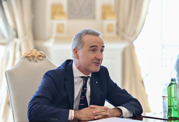 ATƏT PA prezidenti minatəmizləmə sahəsində Azərbaycana beynəlxalq dəstəyin gücləndirilməsi ilə bağlı çağırış edib (ÖZƏL)