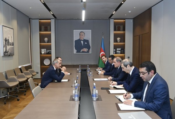 ATƏT PA Prezidenti Ermənistanla sülh prosesində Azərbaycanın mövqeyi ilə bağlı məlumatlandırılıb (FOTO)