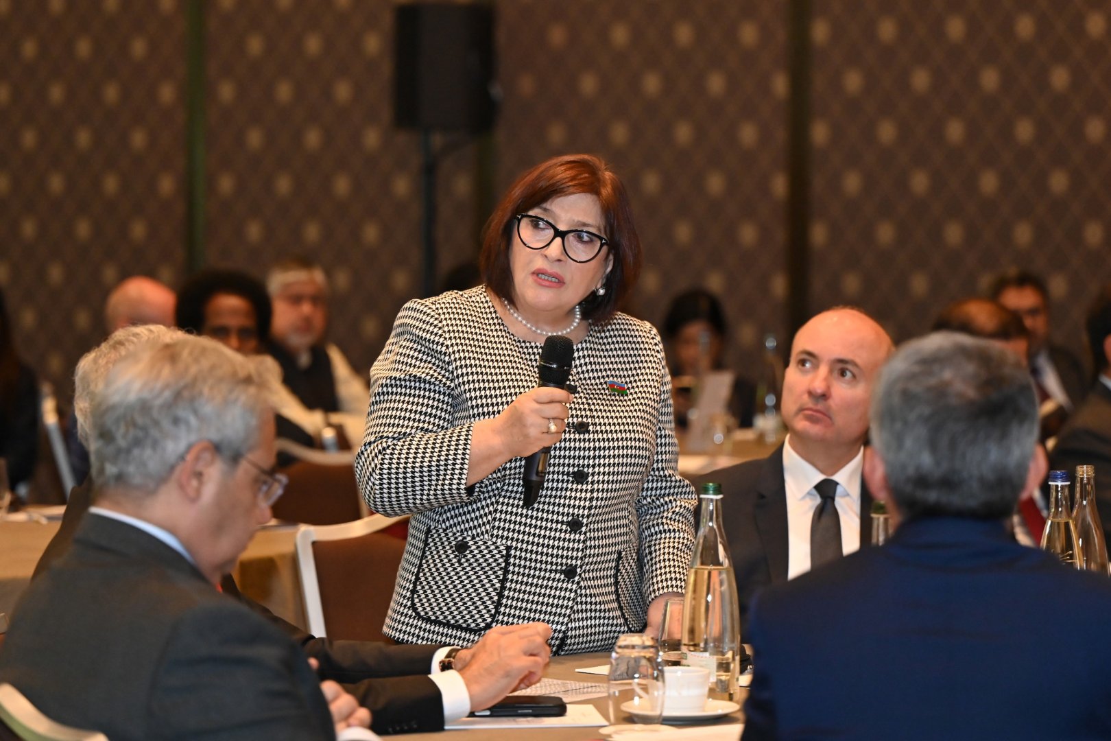 Sahibə Qafarova Cenevrədə yerləşən diplomatik korpus rəhbərləri və nümayəndələri ilə görüşdə çıxış edib (FOTO)