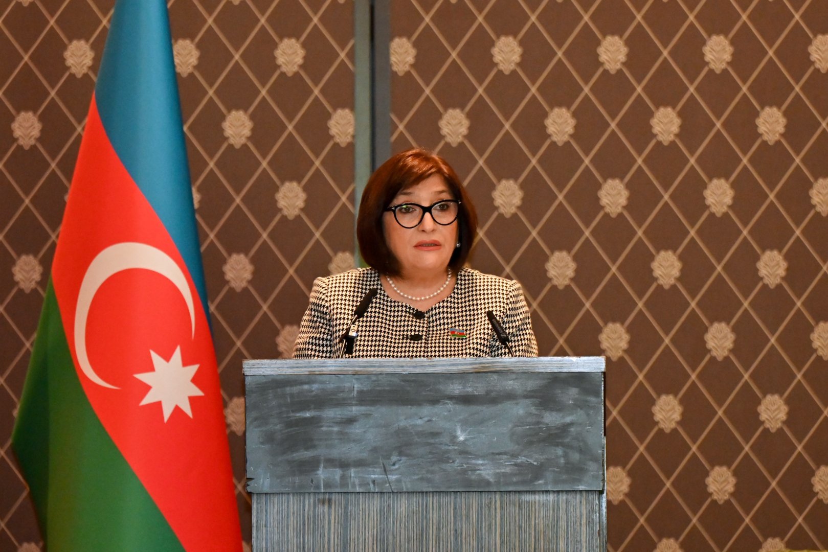 Sahibə Qafarova Cenevrədə yerləşən diplomatik korpus rəhbərləri və nümayəndələri ilə görüşdə çıxış edib (FOTO)