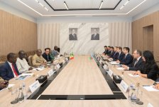 RİNN-də Seneqal nümayəndə heyəti ilə görüş keçirilib (FOTO)
