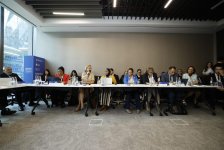 Azərbaycan nümayəndə “İstanbul İqlim Maliyyəsi Sammiti”ndə iştirak edib (FOTO)