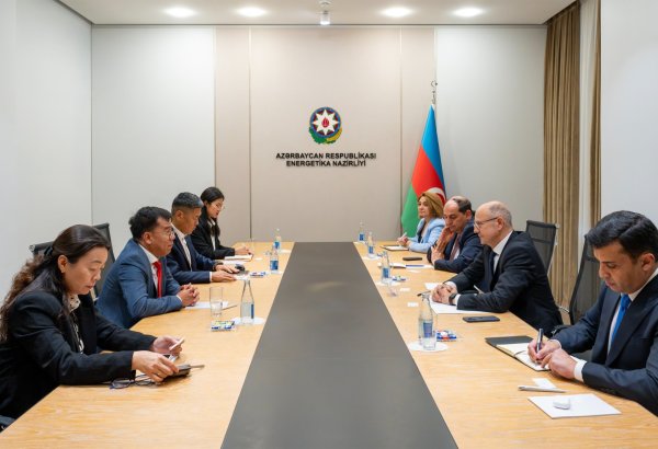 “ROX Energy Global” ilə külək və günəş enerjisi layihələri müzakirə edilib (FOTO)