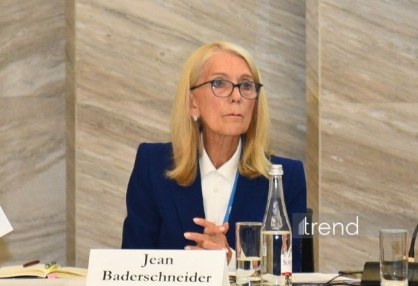 İqlim öhdəliklərini investisiya baxımından cəlbedici layihələrə çevirmək zəruridir