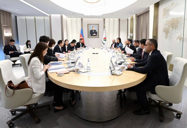 Azərbaycan ilə Çin arasında enerji üzrə əməkdaşlıq müzakirə olunub (FOTO)
