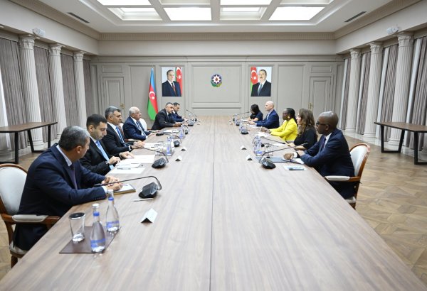 Baş nazir Əli Əsədov Dünya Bankının regional direktoru ilə görüşüb (FOTO