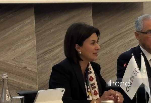 Regional əməkdaşlıq “təmiz” enerji sistemlərinin yaradılmasına töhfə verə bilər - Aysel Yaqubova