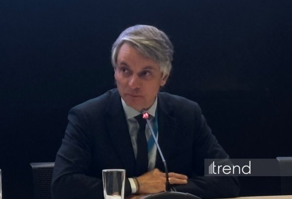 COP31-in məqsədləri biznes imkanlarına çevrilməlidir - UNECE
