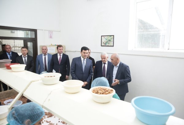 Xaçmaz rayonunda yeni soyuducu anbar və çeşidləmə sexi inşa olunacaq (FOTO)