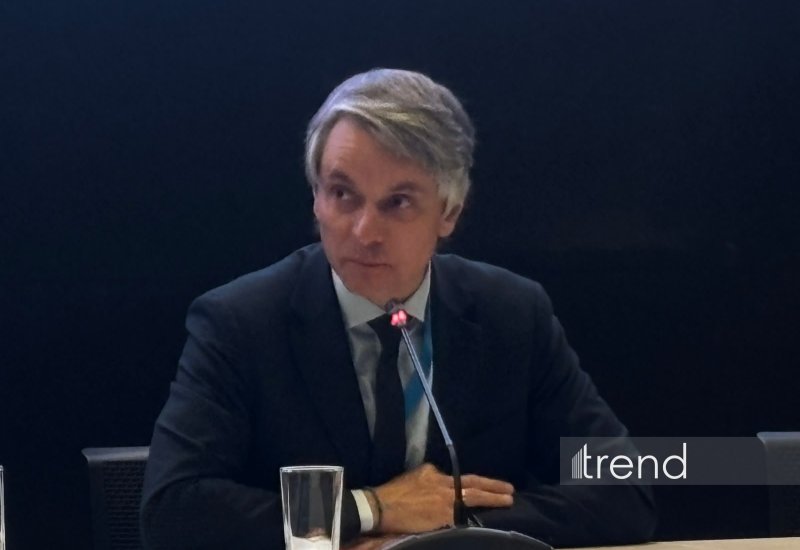 COP31-in məqsədləri biznes imkanlarına çevrilməlidir - UNECE