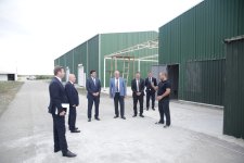 Xaçmaz rayonunda aqrar sektorun inkişafı diqqət mərkəzindədir (FOTO)