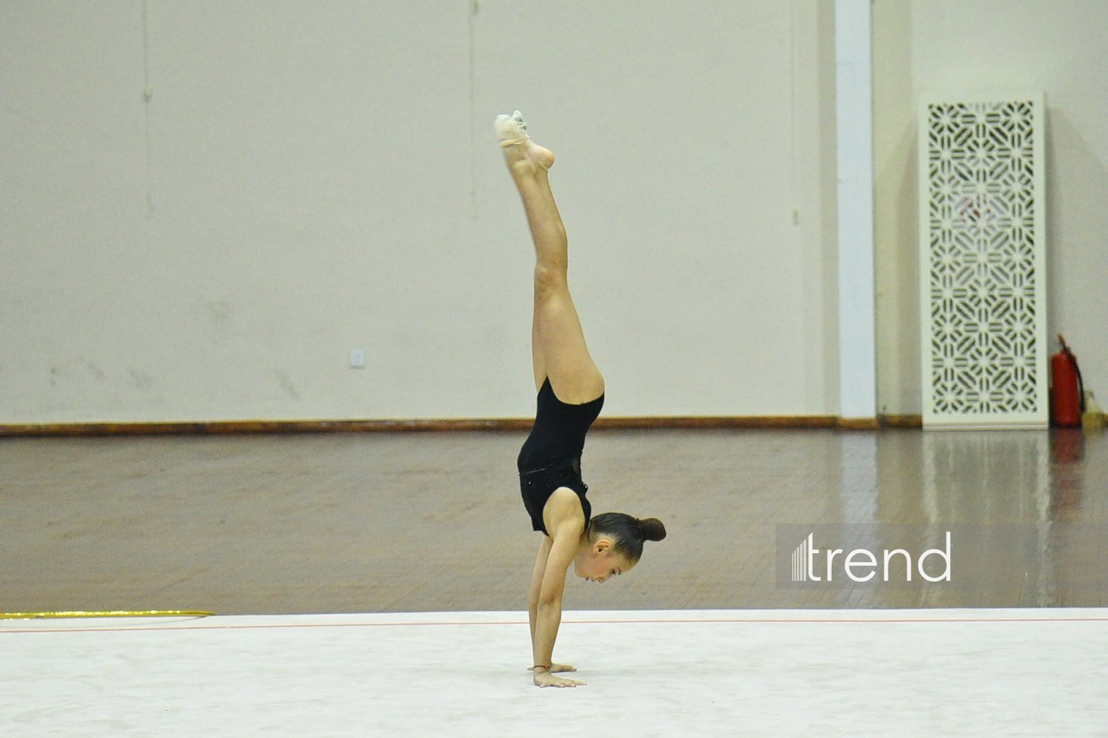 Bədii gimnastika üzrə 31-ci Bakı birinciliyinə start verilib (FOTO)