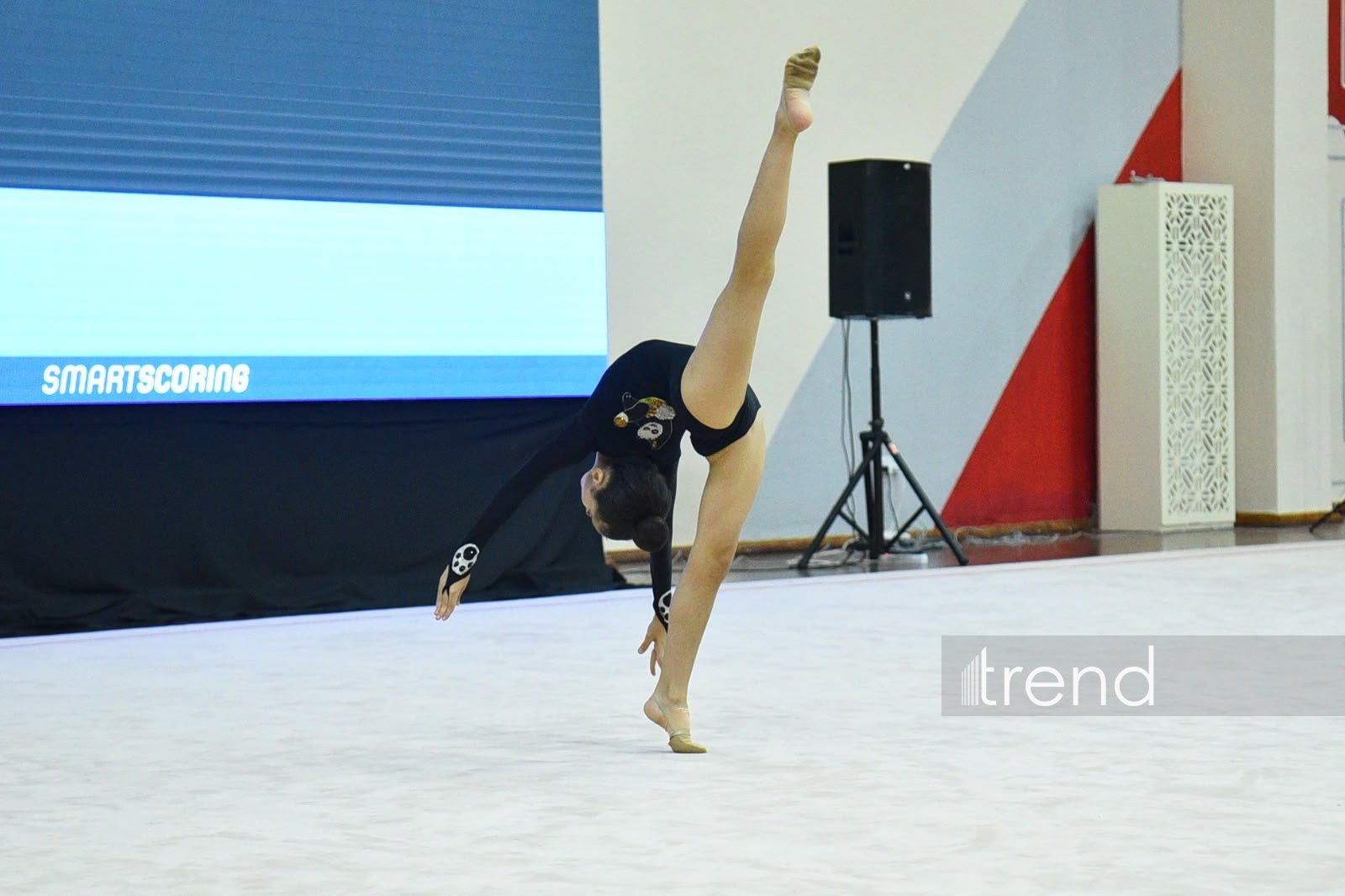 Bədii gimnastika üzrə 31-ci Bakı birinciliyinə start verilib (FOTO)