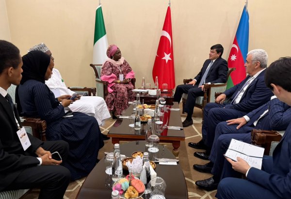 Türkiyədə qlobal diaspor məsələləri müzakirə olunub (FOTO)