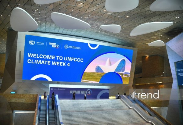Bakıdan Antalyaya: COP29 irsi qlobal iqlim gündəliyinin əsasına çevrilir