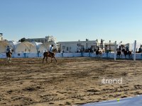 Azərbaycan təmsilçisi çimərlik polusu turnirinin finalına yüksəlib (FOTO)