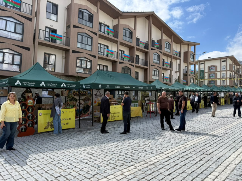 Kəlbəcərdə növbəti Bal Festivalı keçirilib (FOTO)
