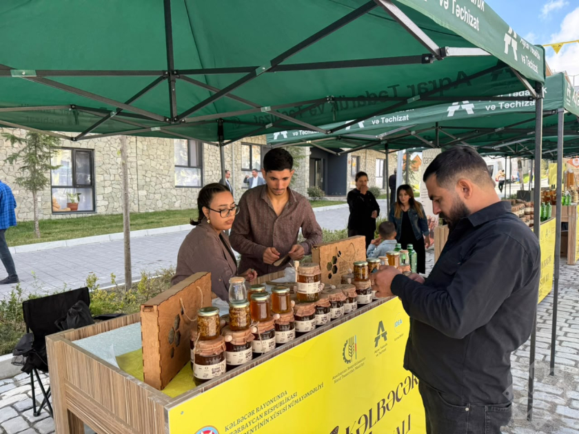 Kəlbəcərdə növbəti Bal Festivalı keçirilib (FOTO)