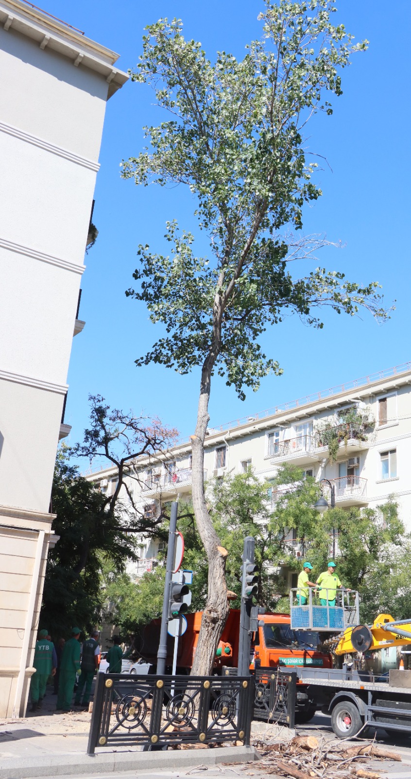Güclü küləklərlə bağlı qabaqlayıcı tədbirlər görülür (FOTO)