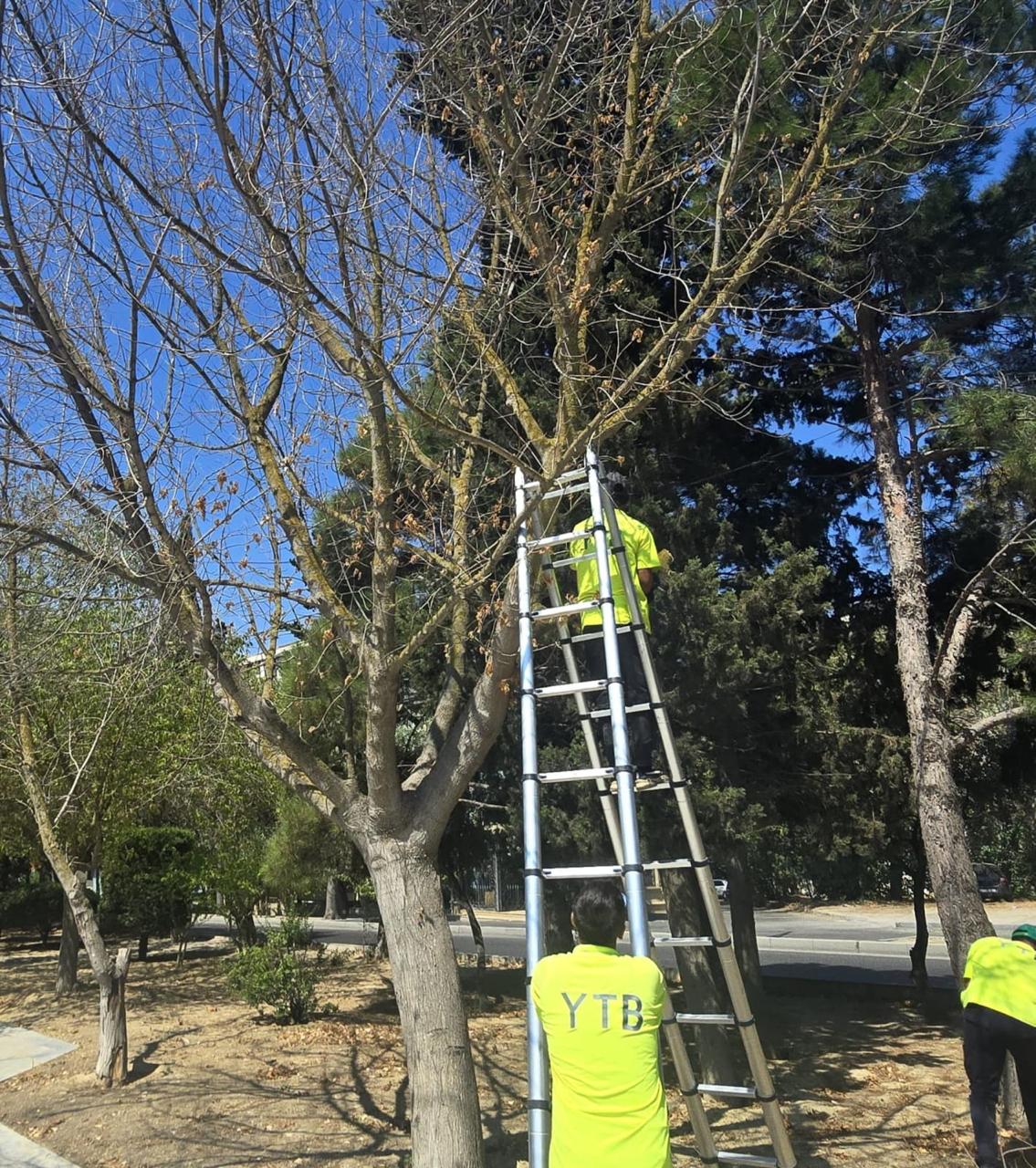 Güclü küləklərlə bağlı qabaqlayıcı tədbirlər görülür (FOTO)