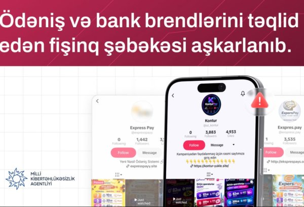 Ödəniş və bank brendlərini təqlid edən fişinq şəbəkəsi aşkarlanıb