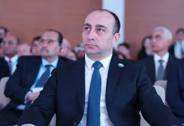 Gürcüstanın Dövlət Təhlükəsizlik Xidmətinin rəisi istefa verib