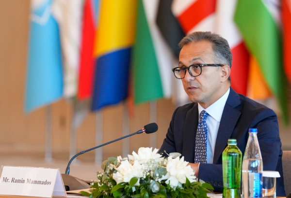 Komitə sədri beynəlxalq konfransda çıxış edib