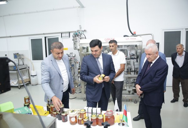 Xaçmaz rayonunda arıçılıq və bal emalı sahəsinin inkişafı diqqət mərkəzindədir (FOTO)