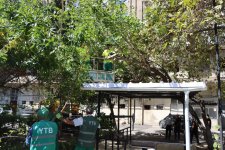 Güclü küləklərlə bağlı qabaqlayıcı tədbirlər görülür (FOTO)