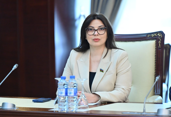 Milli Məclisdə kiberdələduzluğun ayrıca cinayət tərkibi kimi müəyyən edilməsi təklif olunub