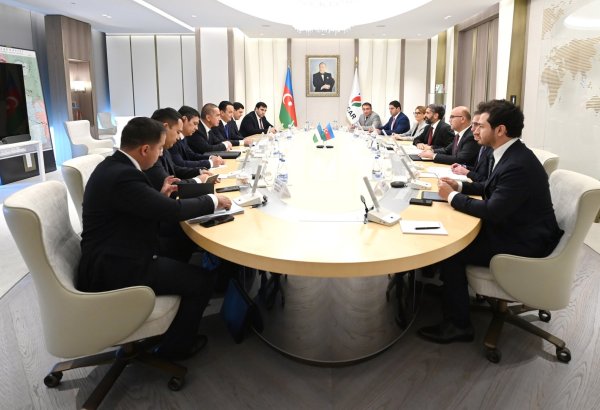 SOCAR və Özbəkistan "Üstyurt" investisiya bloklarında layihələrin həyata keçirilməsini müzakirə edib (FOTO)