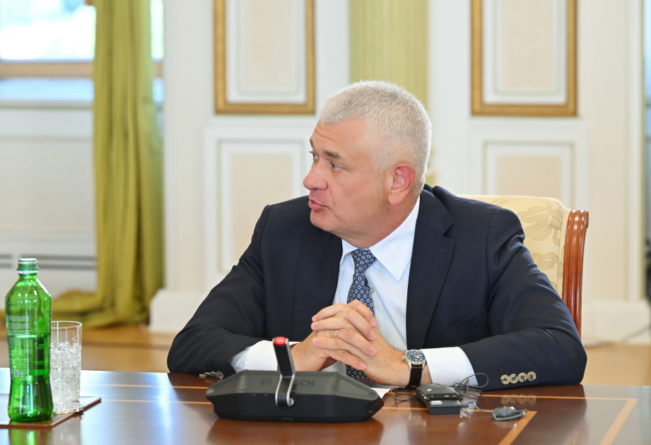 Prezident İlham Əliyev TDT-yə üzv ölkələrin təhlükəsizlik üzrə rəhbər şəxslərini qəbul edib (FOTO)