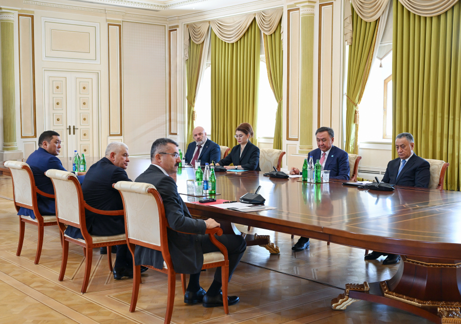 Prezident İlham Əliyev TDT-yə üzv ölkələrin təhlükəsizlik üzrə rəhbər şəxslərini qəbul edib (FOTO)