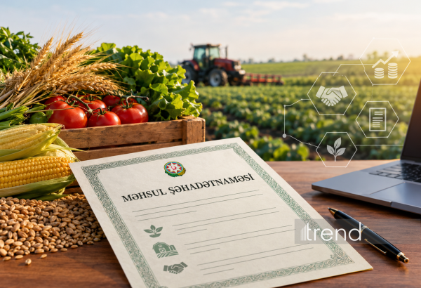 Azərbaycanda aqrar sahədə yeni maliyyələşmə mexanizmi tətbiq ediləcək