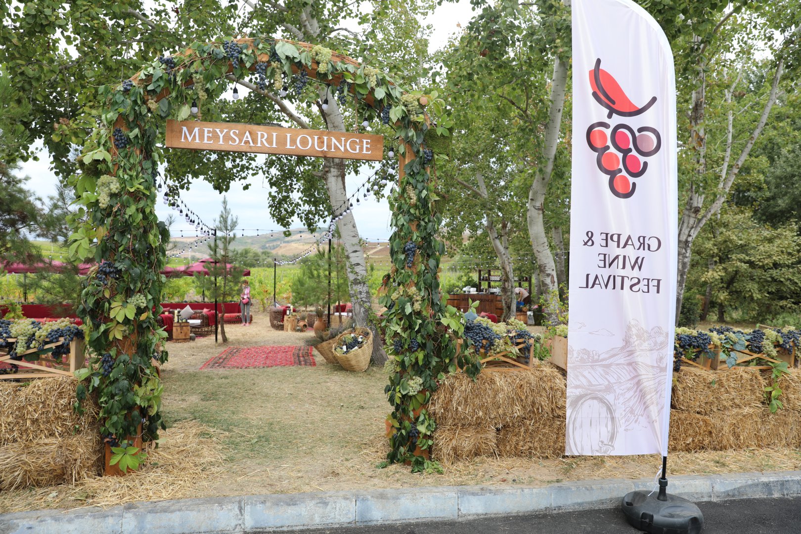 Şamaxıda Üzüm və Şərab Festivalı başlayıb (FOTO)