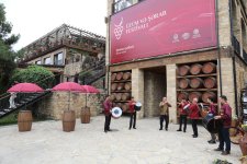 Şamaxıda Üzüm və Şərab Festivalı başlayıb (FOTO)